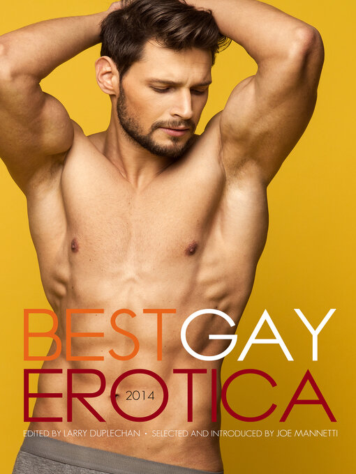 Cover image for Best Gay Erotica 2014